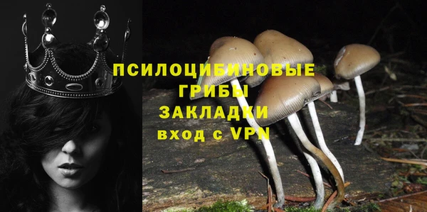 ALPHA PVP Верхнеуральск