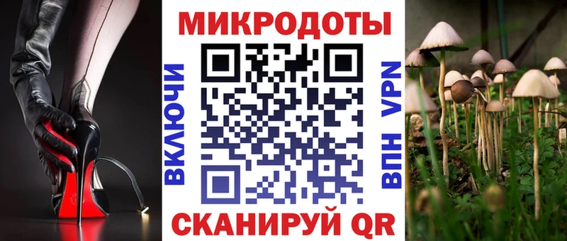 маркетплейс официальный сайт  Новоульяновск  Псилоцибиновые грибы прущие грибы 